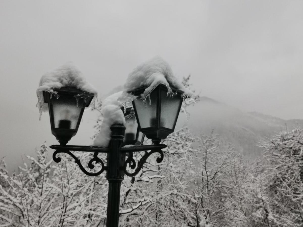 арборетум & ресторант